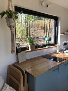 a kitchen with a counter with a large window at Cozy Cabins I Tiny House Seecontainer in Hahnenklee-Bockswiese