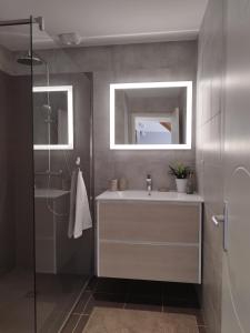 een badkamer met een wastafel en een douche bij Chambre d'hôtes salle d'eau et WC privés, véranda,extérieurs et piscine chauffée in Guérande