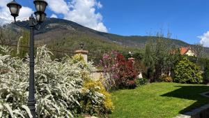 Galería fotográfica de Villa Maria en Nižepole