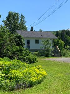 a house with yellow flowers in the yard at Chalets les chanterelles de Forillon in L’Anse-au-Griffon