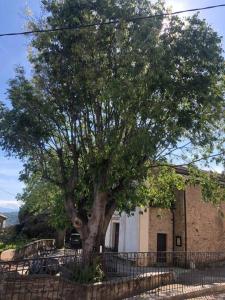 Galería fotográfica de Duplex au Village en Tox 14 fotos más