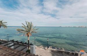 una vista del océano con una palmera en Aldeas Taray Admer 003, en La Manga del Mar Menor