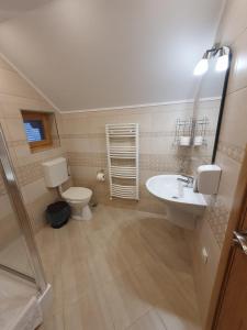 a bathroom with a toilet and a sink at Casa Miruna & Noris in Bran