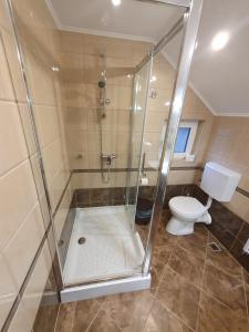 a bathroom with a shower and a toilet at Casa Miruna & Noris in Bran