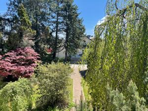 a pathway through a garden with trees and bushes at Apartments Rose in winter in Bled