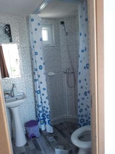 a bathroom with a shower and a toilet at Casa Rariana in Călimăneşti