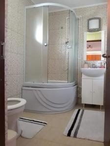 a bathroom with a tub and a toilet and a sink at Casa Rariana in Călimăneşti