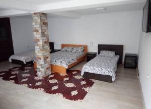 una camera con due letti e un tappeto di Casa Rariana a Călimăneşti