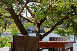 a wooden table and chairs under a tree at Captains Villa - where Lake Malawi and Shire River meet, historical hotel at waterfront next to the Lake Museum in Mangochi Town in Mponda