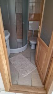 a bathroom with a shower and a toilet and a door at Pensiunea Brian in Moieciu de Jos