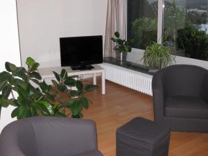 Apartment Seeblick Wetter في ويتير: غرفة معيشة مع تلفزيون وكرسي ومصنع