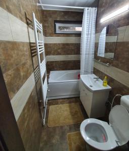 La salle de bains est pourvue de toilettes, d'un lavabo et d'une baignoire. dans l'établissement Casa & Julieta, à Tecuci