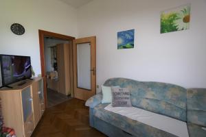 ein Wohnzimmer mit Couch und Fernseher in der Unterkunft Apartment Zinka in Šilo