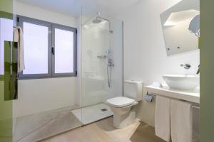 La salle de bains est pourvue d'une douche, de toilettes et d'un lavabo. dans l'établissement Atarazanas Málaga Boutique Hotel, à Malaga