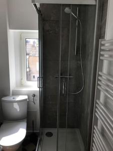 een badkamer met een douche en een toilet bij LE LORITZ in Nancy