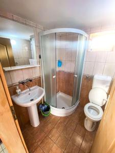 a bathroom with a shower and a toilet and a sink at Apartmani Devic in Tivat