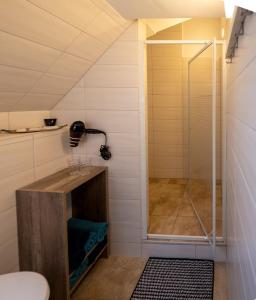 a bathroom with a shower and a toilet at Mountain Lake View in Güntersberge