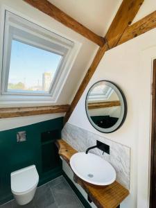 a bathroom with a sink and a mirror and a toilet at THE APPLE LOFT - Rustic luxury one bed cottage in Strete
