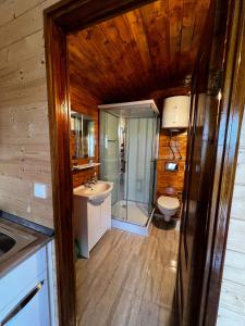 a bathroom with a shower and a sink and a toilet at Pensiunea Colt de Rai, Vistisoara in Stațiunea Climaterică Sâmbăta