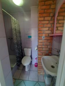 コウォブジェクにあるZielony Domekの小さなバスルーム(トイレ、シンク付)