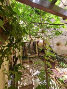 an outside view of a house with a tree at Ai Due Cortili in Trapani
