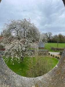 Zahrada ubytování B&B - Entre terre et mer