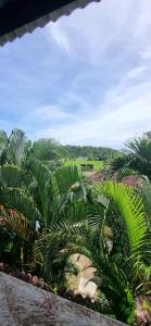 a group of palm trees in a garden at Baiduri's Place in Pantai Cenang