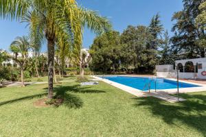 una palmera junto a una piscina en Casa Karma, en Mijas