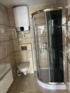 a bathroom with a shower and a toilet at HomeBaltic in Łeba
