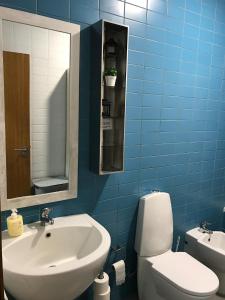 ポンタ・デルガダにあるCosta Apartmentsの青いバスルーム(洗面台、トイレ付)