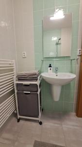 Kúpeľňa v ubytovaní Apartmán Pálenica II