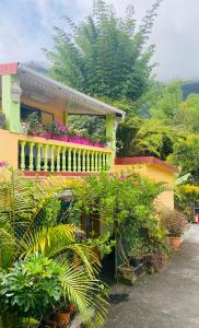 a yellow house with plants and flowers on it at Chambres d'hôtes l'Orchidée Rose in Salazie