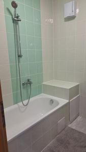 Kúpeľňa v ubytovaní Apartmán Pálenica II