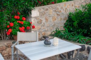 A garden outside 7 Islands
