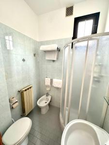 里米尼的住宿－梅特羅波雷酒店，带淋浴、卫生间和盥洗盆的浴室