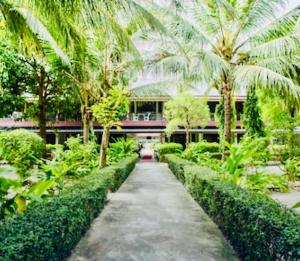 a walkway through a garden with palm trees and a building at Da Kanda Villa Beach Resort in Thong Sala