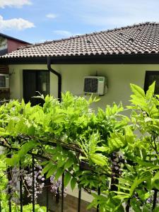 a house with green trees in front of it at Cloudbase Guesthouse in Sopot