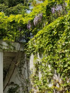 een hek met paarse bloemen erop bij Cloudbase Guesthouse in Sopot