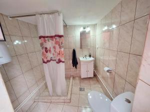 a bathroom with a shower and a toilet and a sink at Casă de vacanță Danube in Moldova Nouă