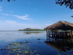 a hut in the middle of a body of water at Lake Resort Bolgoda in Wadduwa