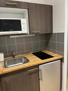 Kuchyňa alebo kuchynka v ubytovaní Studio Lyon 6e proche metro et parc