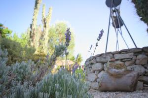 Fotografie z fotogalerie ubytování Villa Athina v destinaci Megála Khoráfia