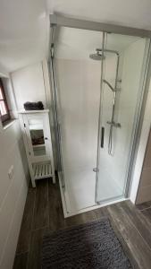 a shower with a glass door in a bathroom at Rauschenbachmühle in Mildenau