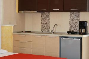 a kitchen with a sink and a dishwasher at Dafni studios no4 in Parga
