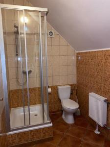 a bathroom with a shower and a toilet and a tub at Dom Pod Dębem in Majdy