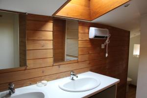uma casa de banho com um lavatório e um espelho em Hameau Bechetoile em Burdignes