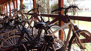 Jazda na bicykli v okolí ubytovania Awilla Ustka