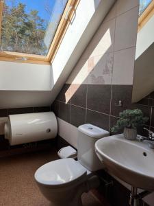 a bathroom with a toilet and a sink and a window at Preila 69 Apartamentai in Preila +42 photos
