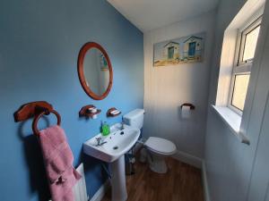 a bathroom with a sink and a toilet and a mirror at Hillside in Ardmore