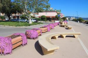 a row of park benches covered in purple flowers at Holiday Home Arzilli in Follonica +112 photos